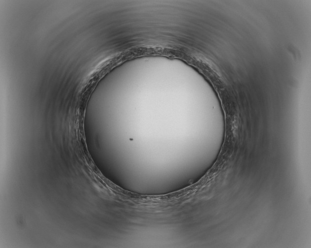 X0000113370968200909291048