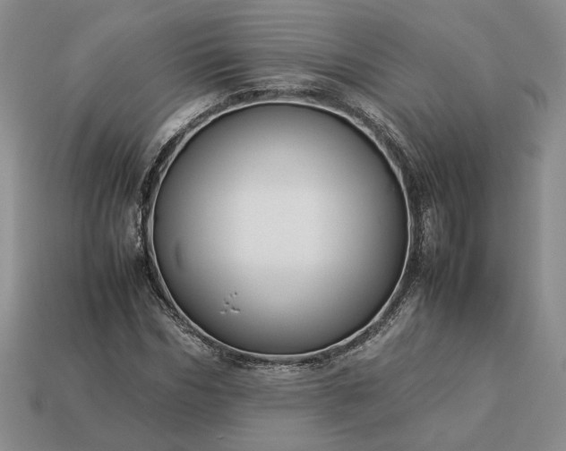 X0000113370970200909291048