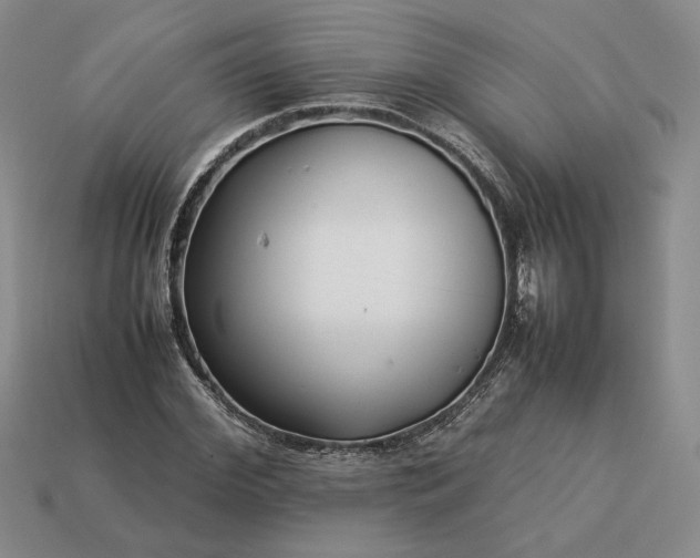 X0000113370972200909291048