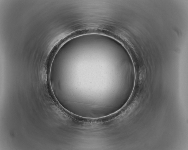 X0000113370973200909291048