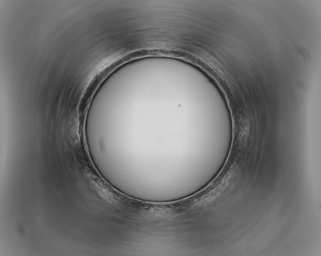 X0000113370974200909291048