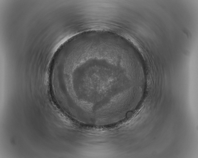 X0000113370975200909291048