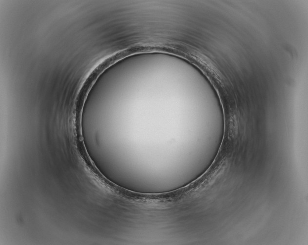 X0000113370976200909291048