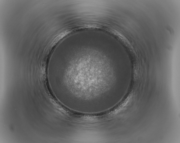 X0000113370977200909291048