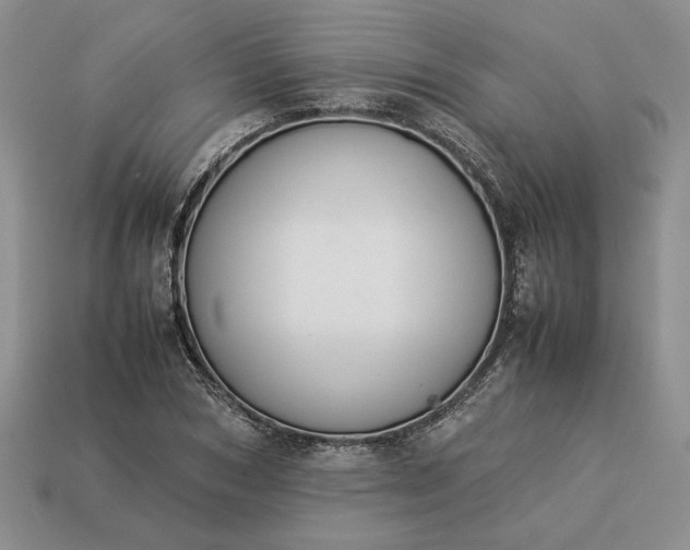 X0000113370978200909291048