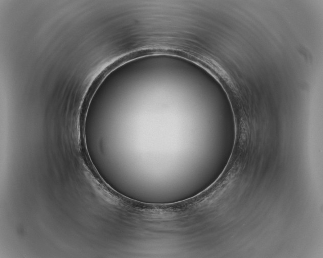 X0000113370980200909291047