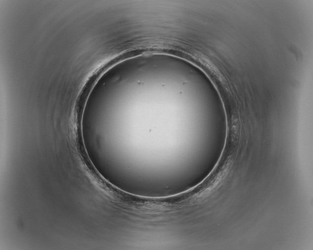 X0000113370981200909291047