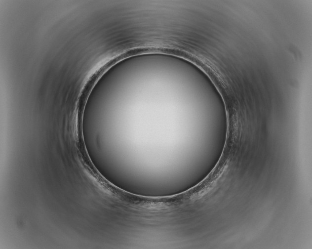 X0000113370982200909291047