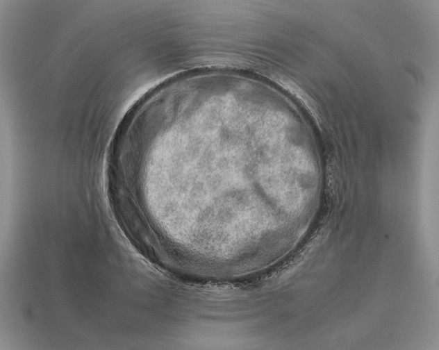 X0000113370983200909291047