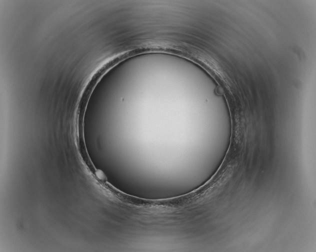 X0000113370984200909291047