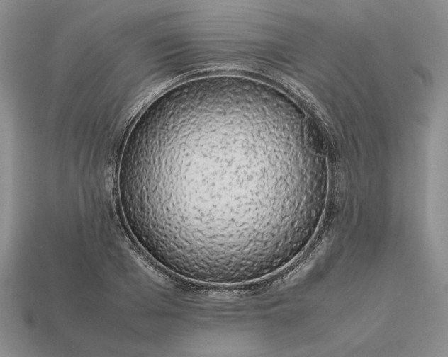 X0000113370985200909291047