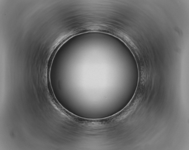 X0000113370986200909291047