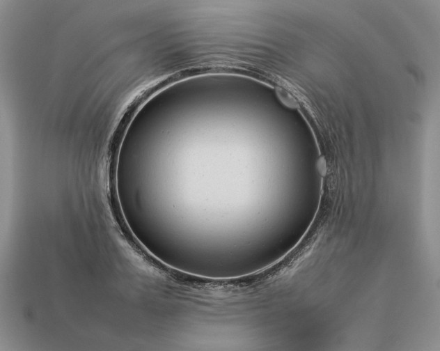 X0000113370987200909291047