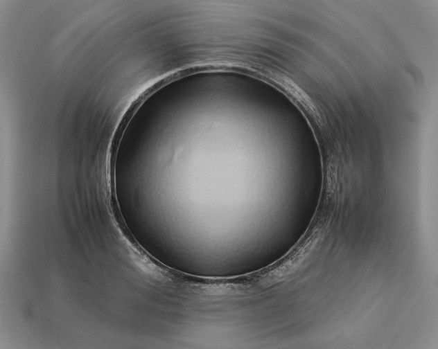 X0000113370988200909291047