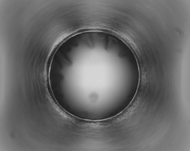 X0000113370990200909291047