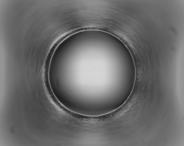 X0000113370991200909291047