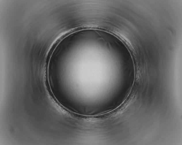 X0000113370992200909291047