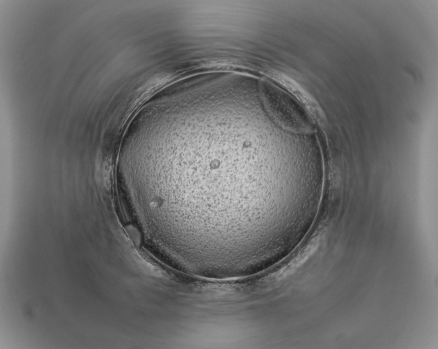 X0000113370993200909291047