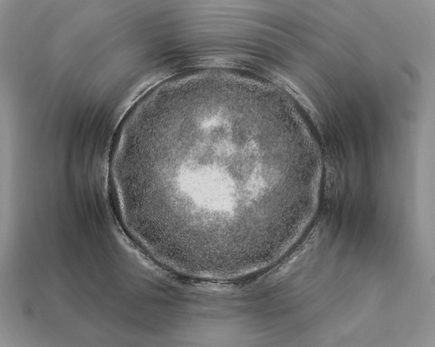 X0000113370994200909291047