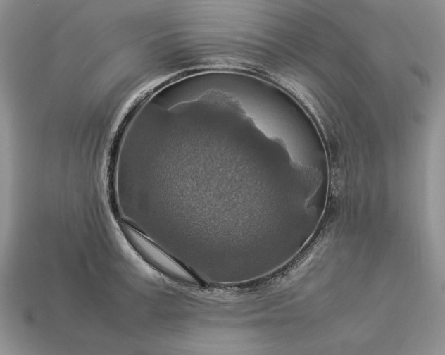 X0000113370995200909291047