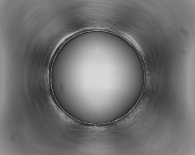 X0000113370996200909291047