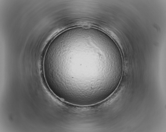 X0000113370997200909291047