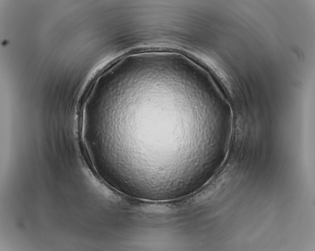 X0000113370998200909291047