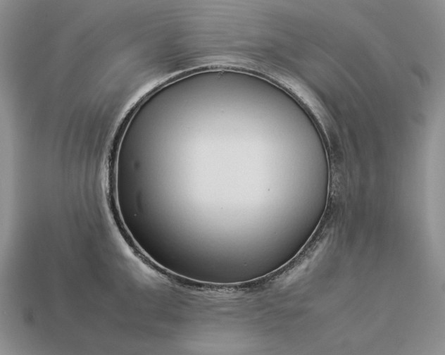 X0000113370999200909291047