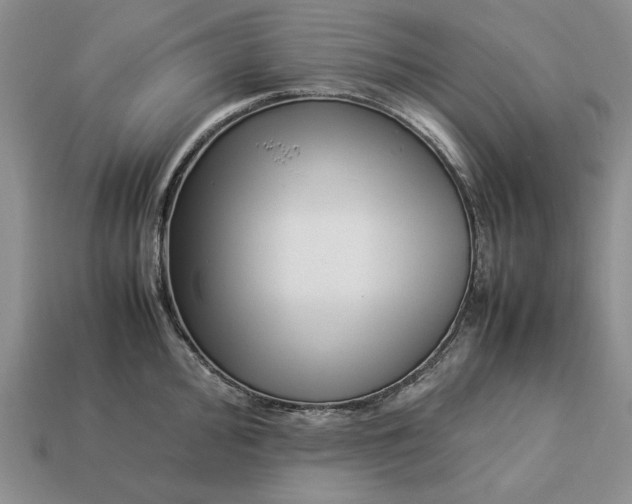 X0000113371000200909291047