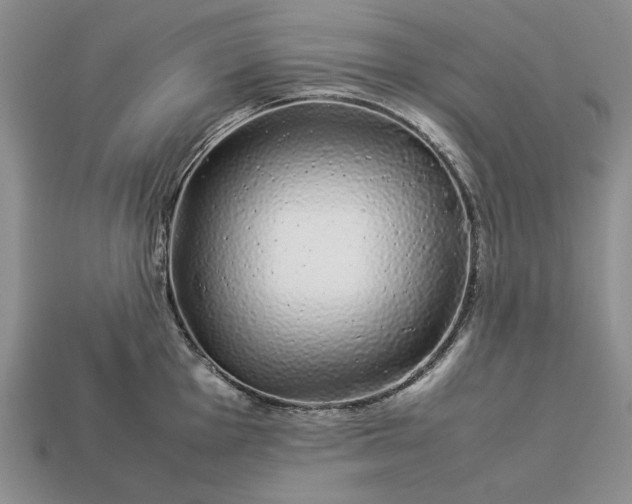 X0000113371001200909291047