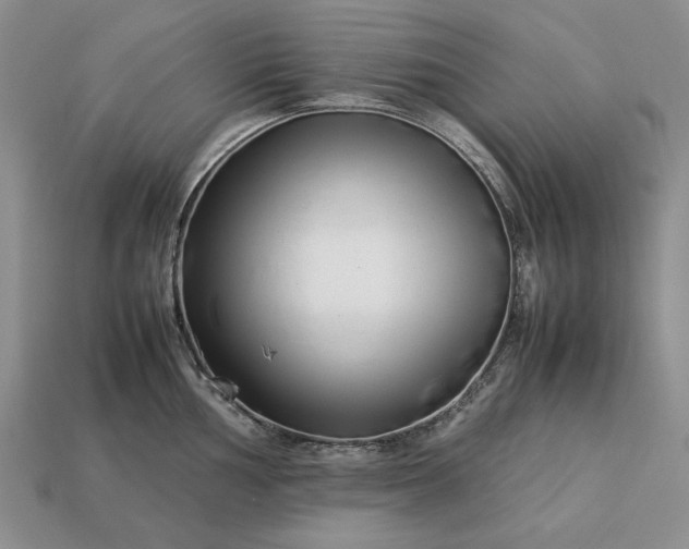 X0000113371002200909291047