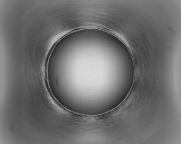 X0000113371003200909291047