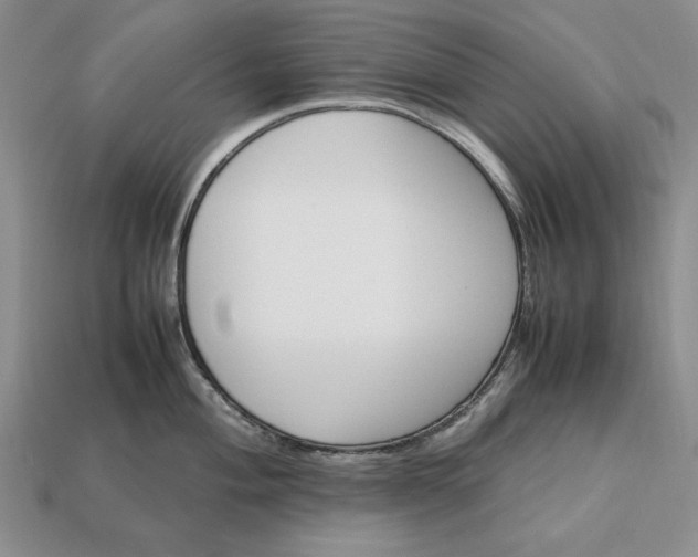 X0000113371004200909291047