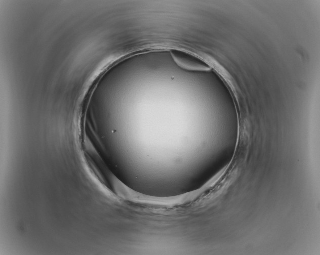 X0000113371005200909291047