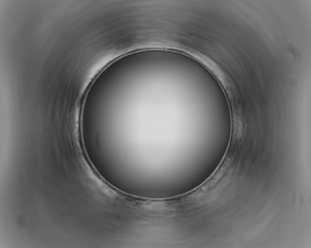 X0000113371006200909291047