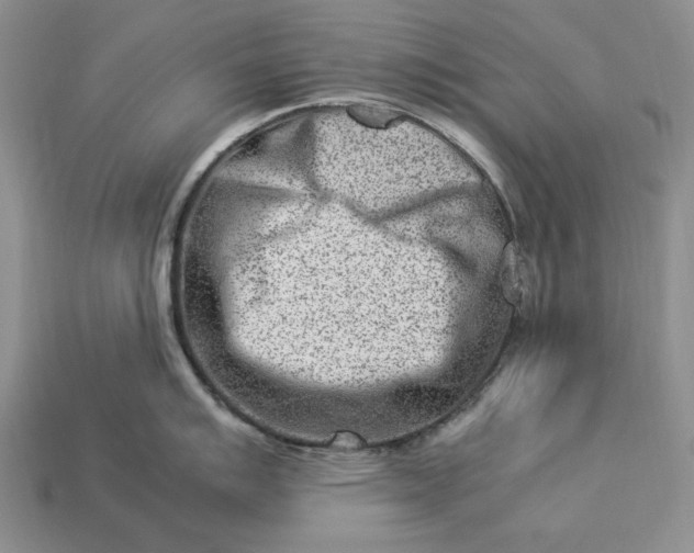 X0000113371007200909291047