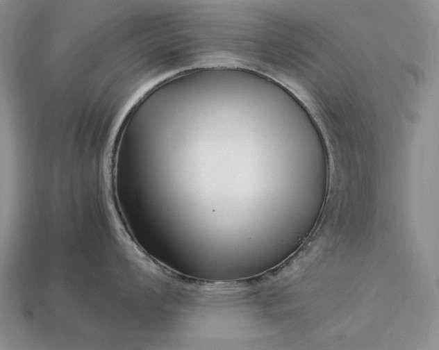 X0000113371008200909291047