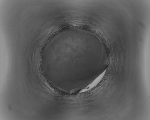 X0000113371009200909291046