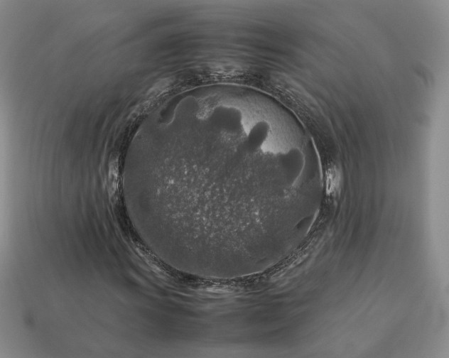 X0000113371011200909291046