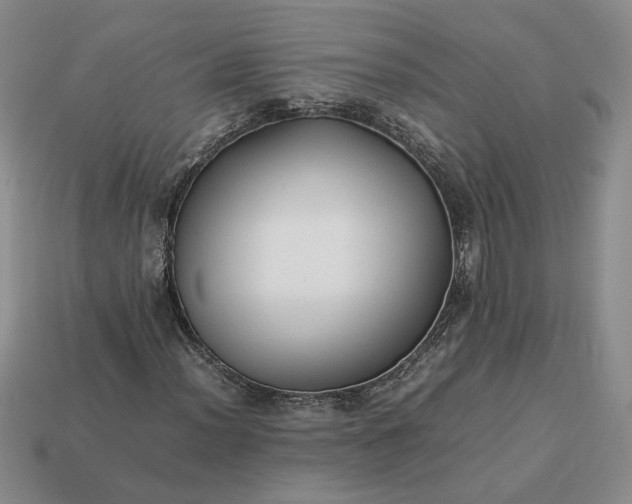 X0000113371012200909291046