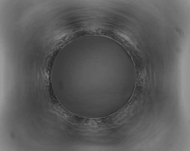 X0000113371013200909291046