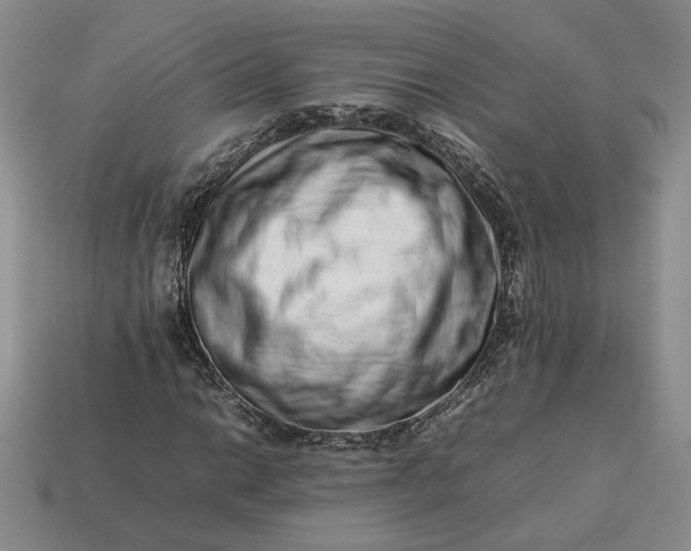 X0000113371014200909291046