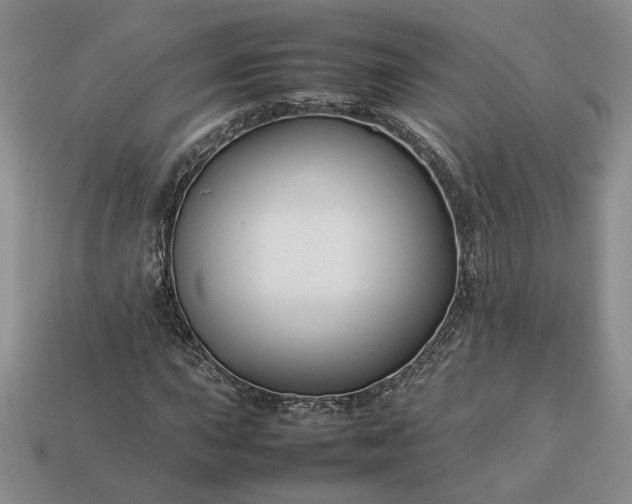 X0000113371015200909291046