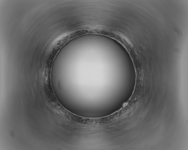 X0000113371016200909291046