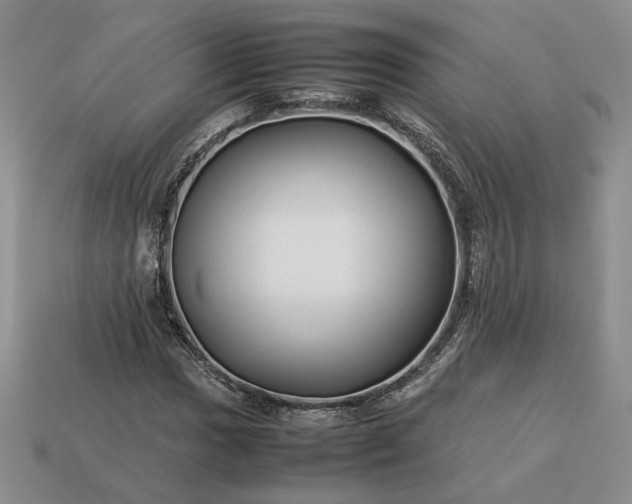 X0000113371017200909291046