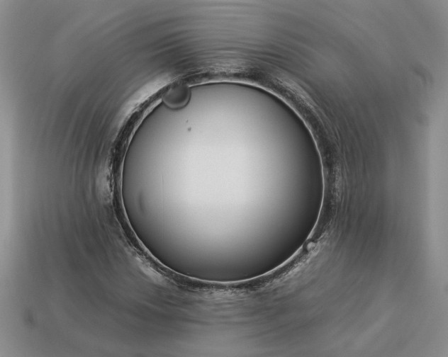 X0000113371018200909291046