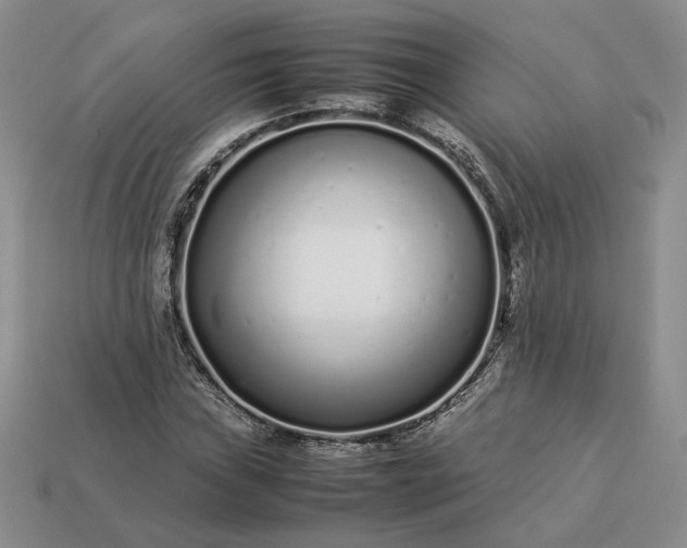 X0000113371019200909291046