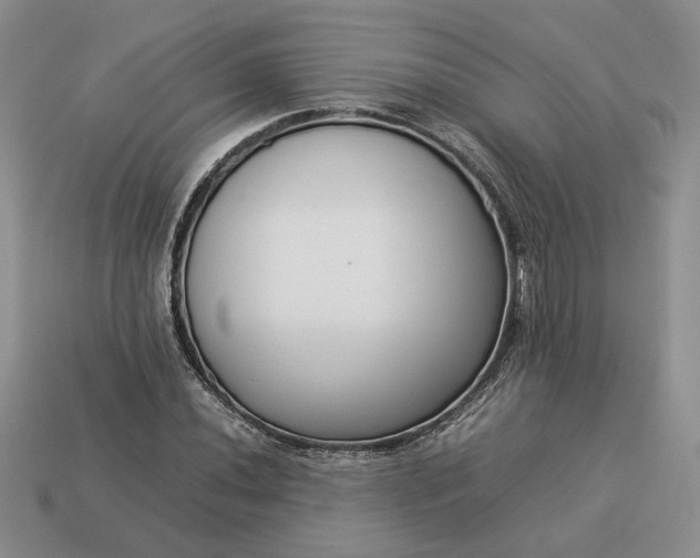 X0000113371020200909291046