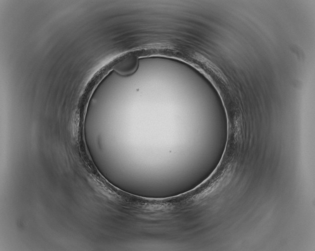 X0000113371021200909291046