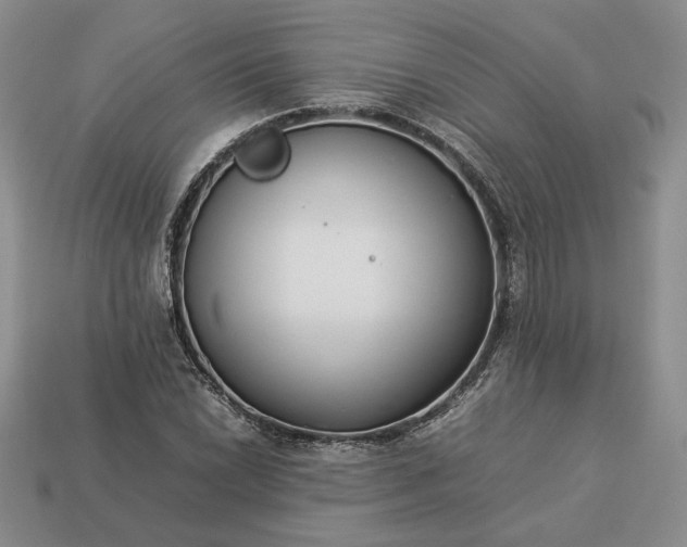 X0000113371022200909291046